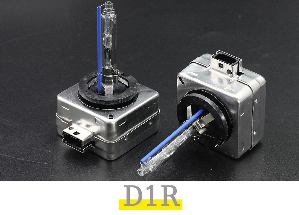 D1R
