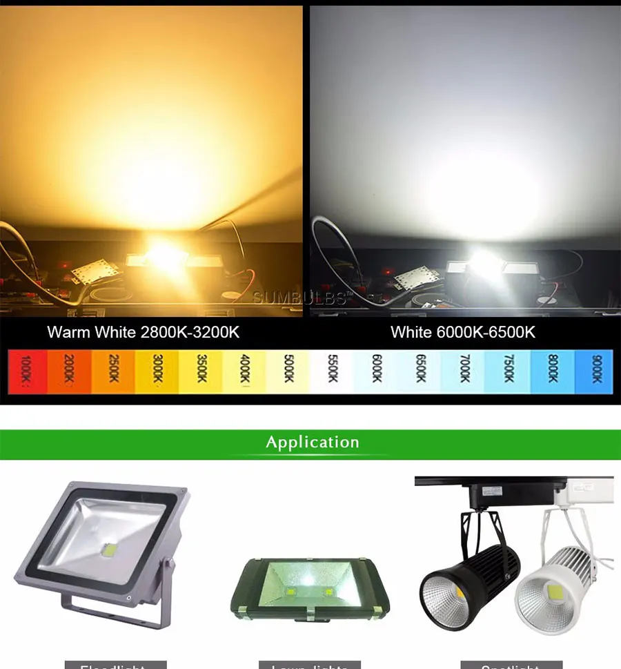 ac 110V 220V 100W 50w 30w 20w led chip light lamp led driver (7)