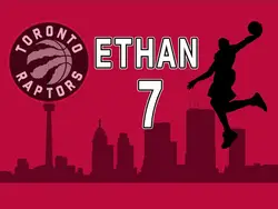 На заказ toronto raptors Баскетбол город день рождения Тематические фото фон Высокое качество компьютер вечерние партии фоны