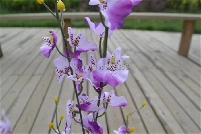 Цветы Oncidium 94 см/3" длина 10 шт./лот искусственные орхидеи белый/желтый/розовый/фиолетовый/зеленый/оранжевый для свадьбы цветок