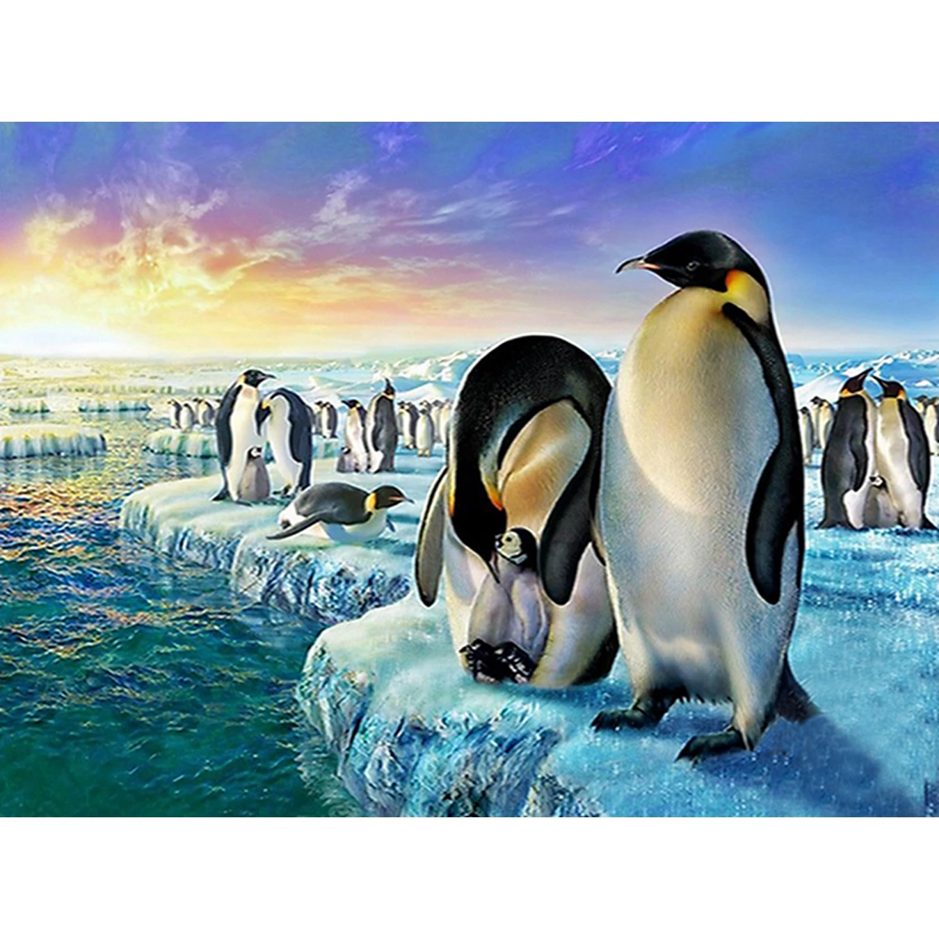 Aliexpress.com : Buy Penguin,5D,DIY,Diamond Painting,Full,Embroidery