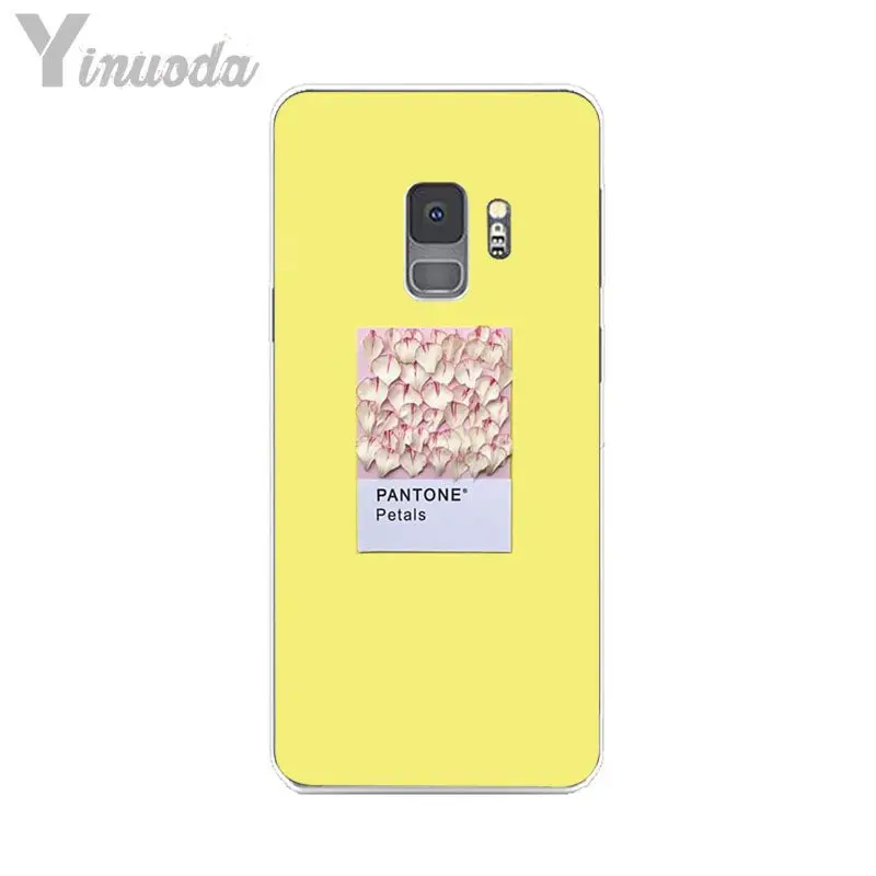 Pantone Candy Color Art