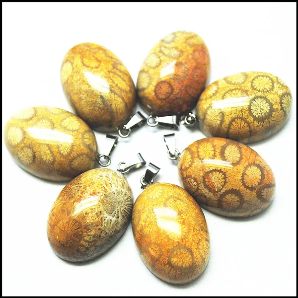 

5pcs natural fossile nature gem stone pendants 18x25mm oval shape flat surface wholesale jewelry diy beads accessories for brace