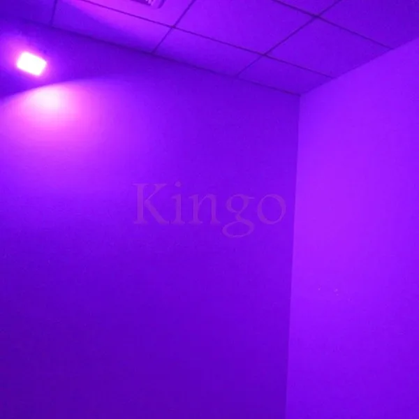 xin02
