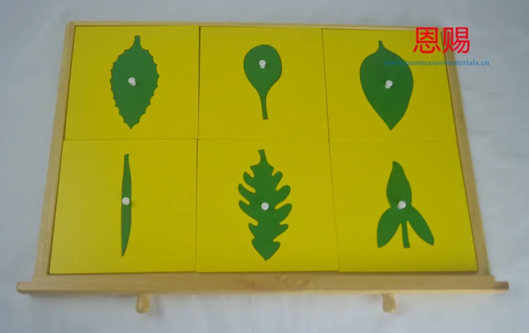 7027 leaf cabinet  (3)