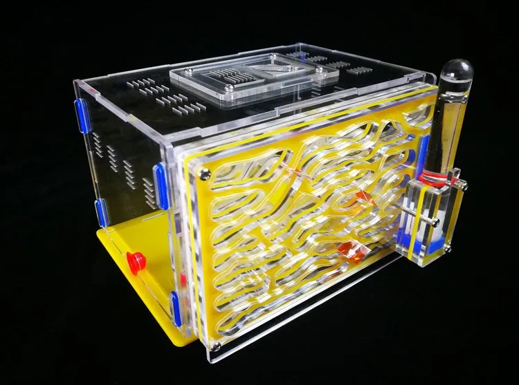 big-size-ant-farm (10)