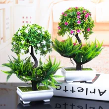 Bonsai Tree Buy Bonsai Tree With Free Shipping On Aliexpress Bonsai Tree Buy Bonsai Tree With Free Shipping On Aliexpress