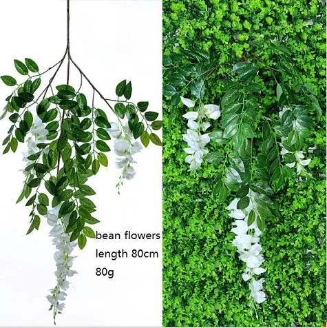 Bean flowers