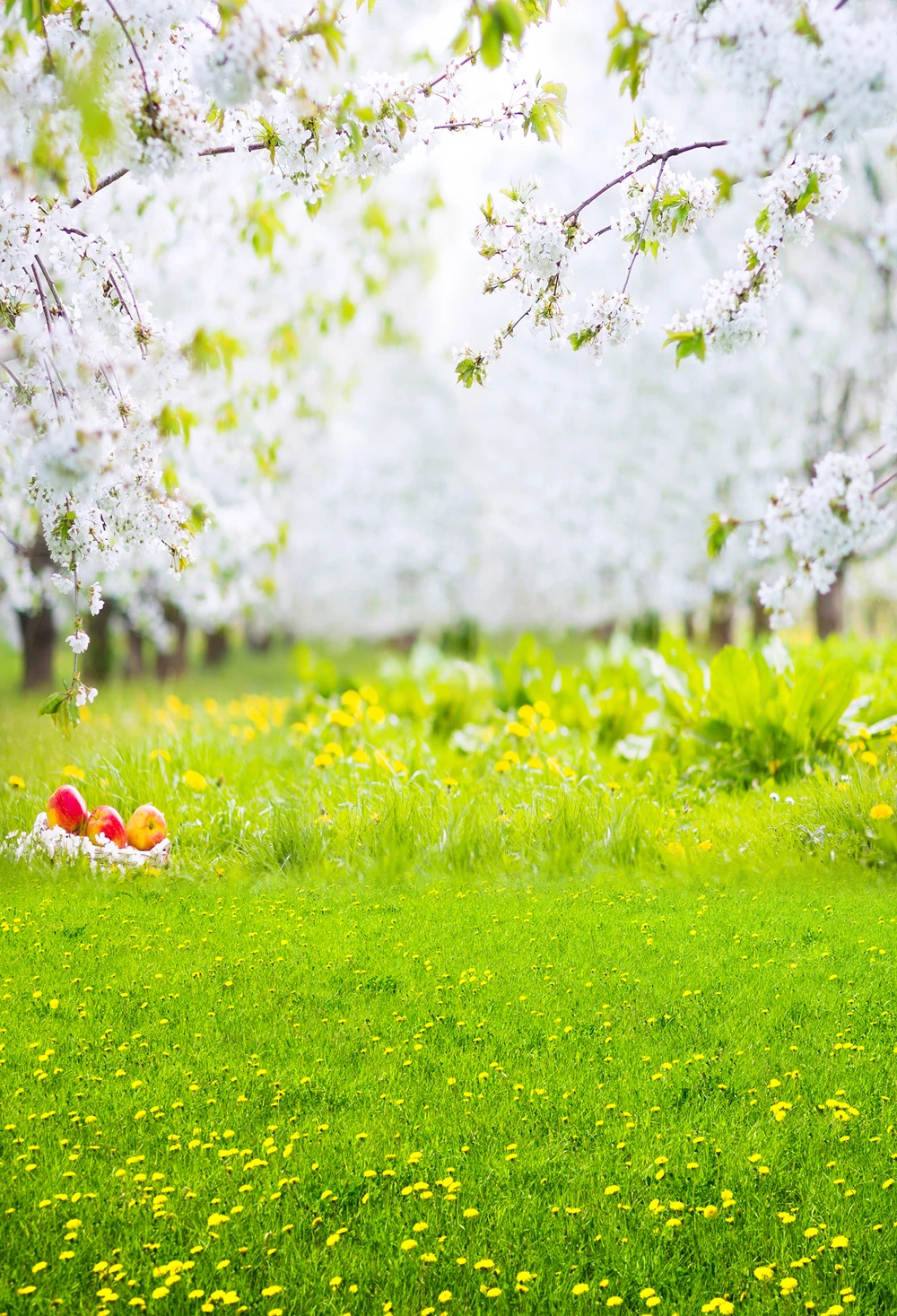 Spring Photography Backdrop for Pictures photobooth