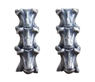 Regalrock панк анатомическая змея позвоночника кости Jakotsu позвоночника Готический Скелет Анатомия ювелирные изделия серьги гвоздики