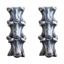 Regalrock панк анатомическая змея позвоночника кости Jakotsu позвоночника Готический Скелет Анатомия ювелирные изделия серьги гвоздики