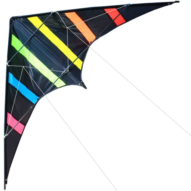 NEW Arrive 48 Inch Professional Dual Line Stunt Kite With Handle And Line Good Flying Factory Outlet 1