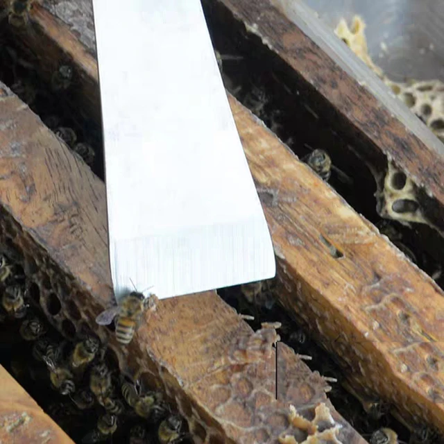 Méh Szerszámok Rozsdamentes Acél Hüvelykujj Típusú Méhkés Kaptár Kaparó Multifunkcionális Méhészet Méhkaparó Vágott Mézkés - Image 6