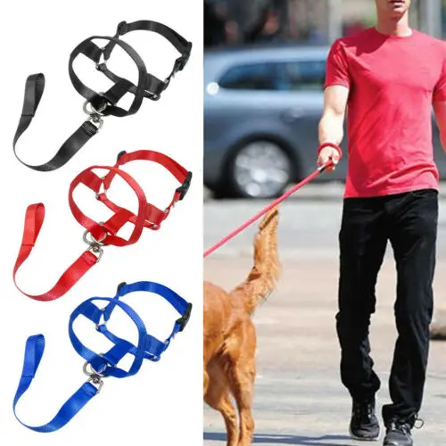 Pet Dog Head Halter Halti Training Collar Stop Pulling Gentle Harness