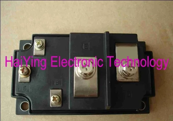 

1DI300MN-050  IGBT MODULE