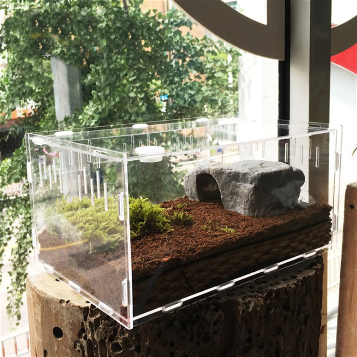 Ceny Rozmiar S L zbiornik gadów owady pająki żółw jaszczurka akrylowy przezroczysty inkubator Vivarium Lid gad domowy produkt Terrarium