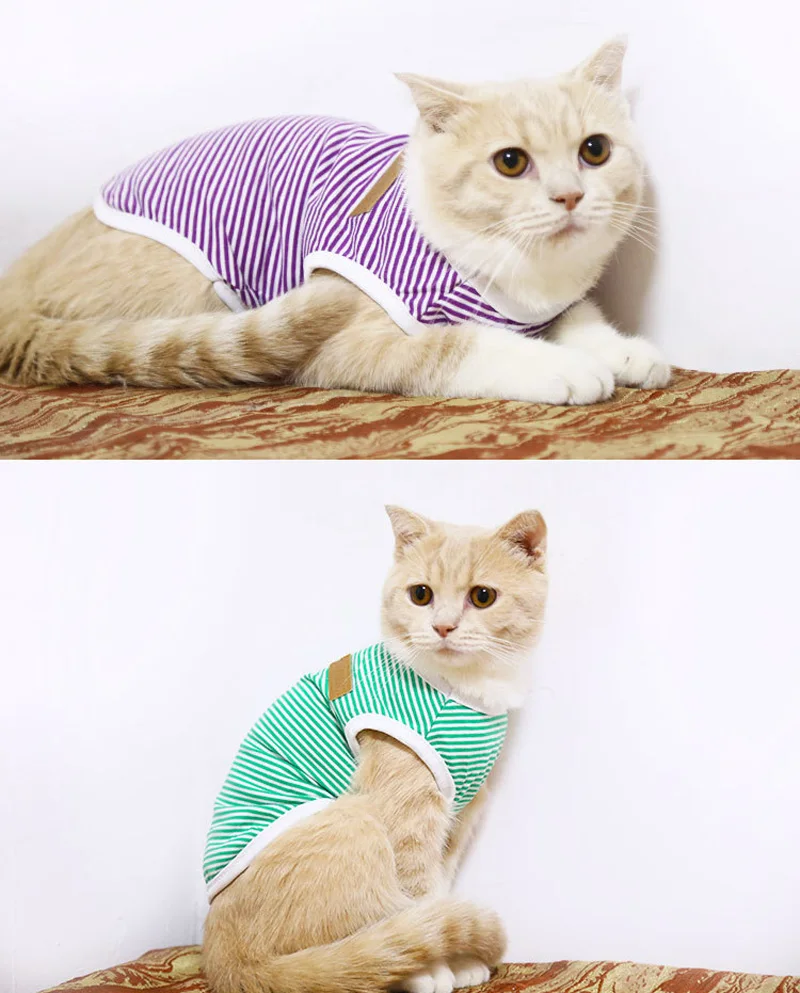 10165203328_1119372358