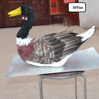 

big real life wild duck model foam&feather simulation duck bird doll gift about 45cm xf0867