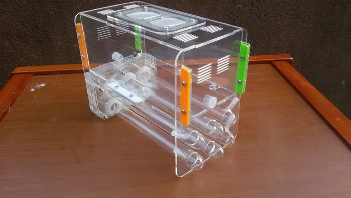 ant-house (1)