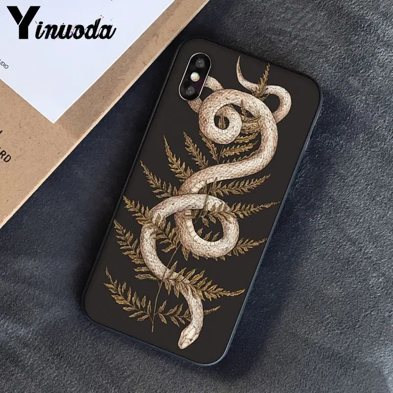 Animal The Snake and Fern