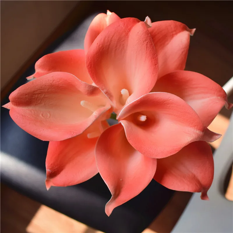 coral-1