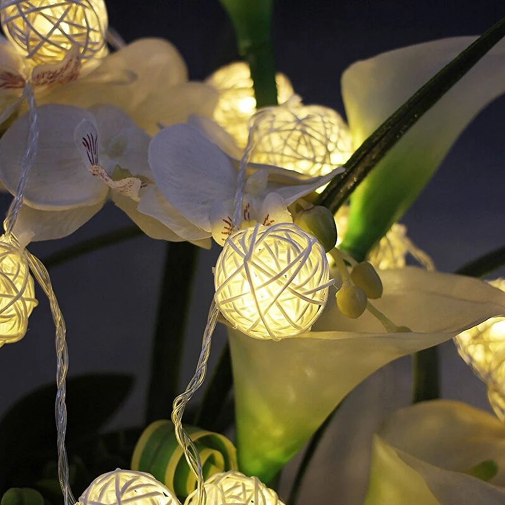 ZHGZ7680-ZHGZ7682-D1