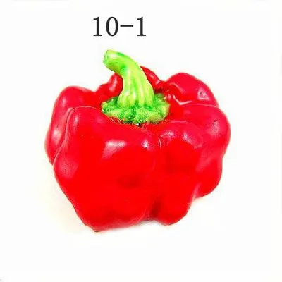 HTB1F_dNIFXXXXccXpXXq6xXFXXXw.jpg