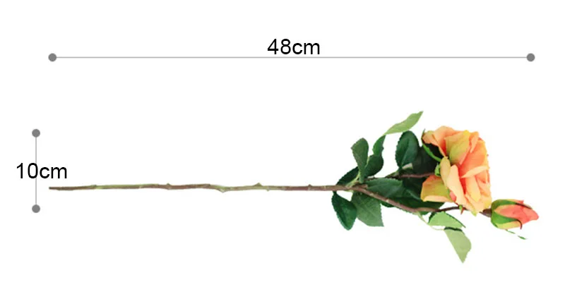 2 size