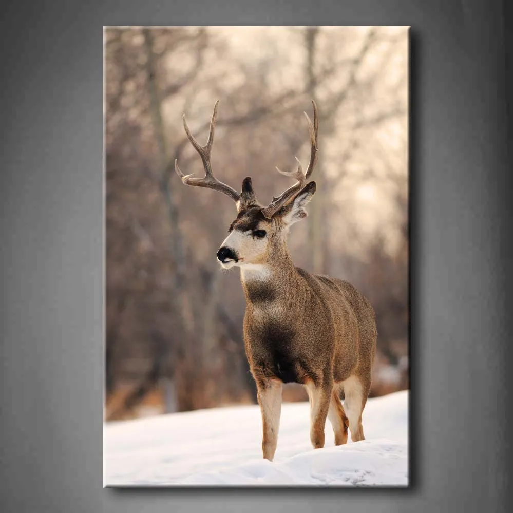 

1 Pic Framed Wall Art Pictures Mule Deer Snow Canvas Print Artwork Animal Modern Posters With Wooden Frames For Decor