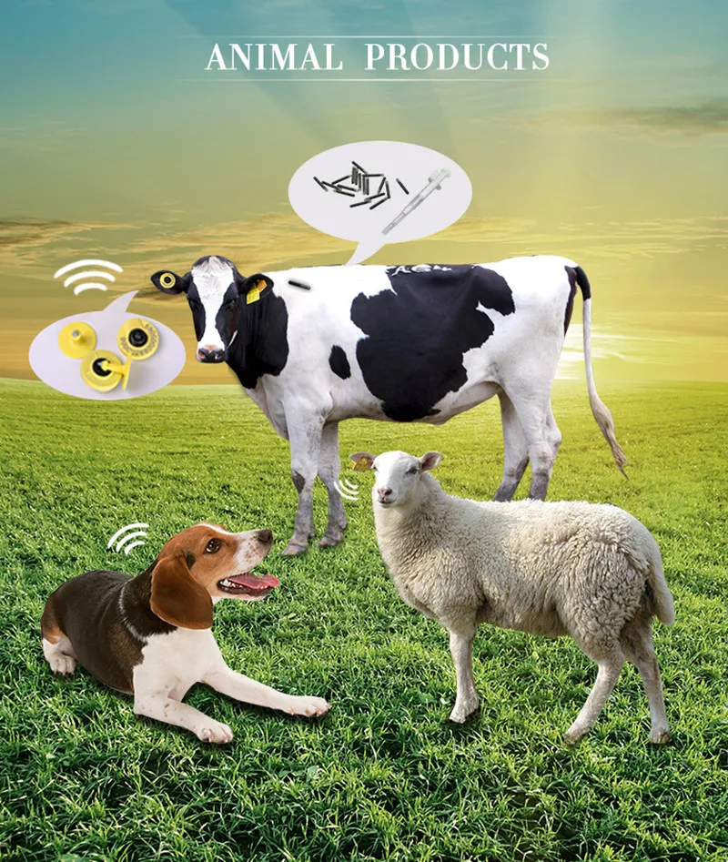 animal tracking