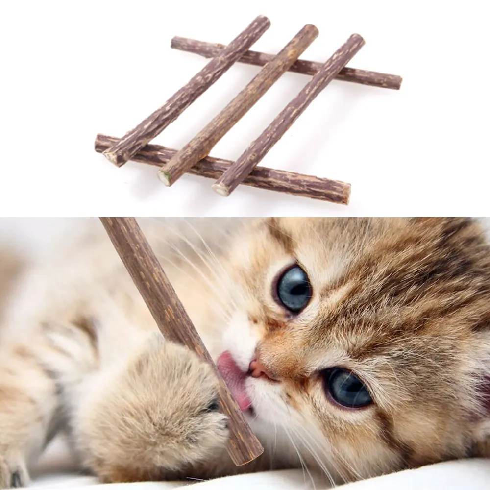 

5Pcs/Set Cat Catnip Sticks Wood Plant Toys Organic Natural Chew Sticks Cat Teeth Cleaning Chew Toy for Cat Kitten