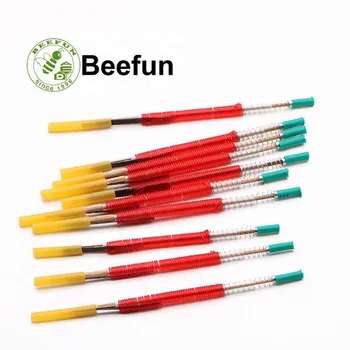 

10Pcs Beefun Move The Needle Insect Pest Queen Bee Equipment Larvae Worm Needle 2018 New Pollen Beekeeping Tools