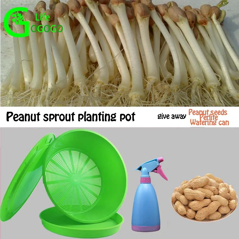 

Home Garden Peanut Planting Nursery Pots Multi-function Soilless Cultivation Sprout Vegetable Seedling Hydroponic Equipment Tray