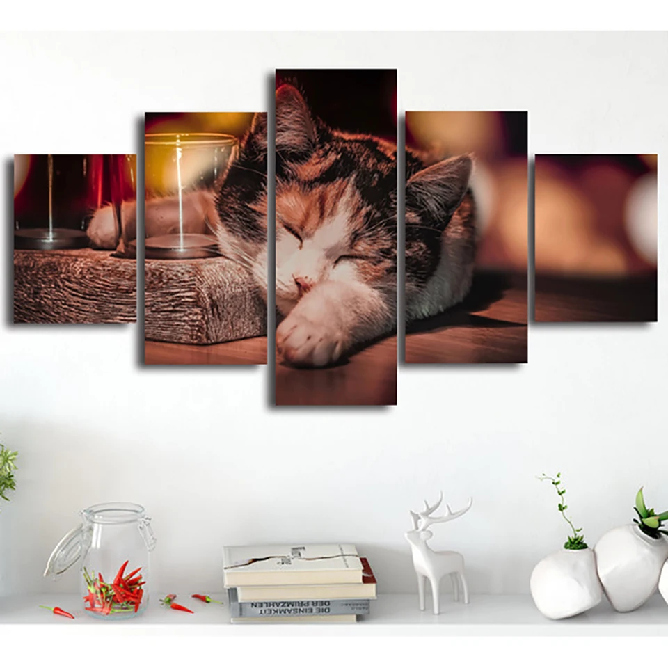 HTB1b8hipgvD8KJjSsplq6yIEFXa8