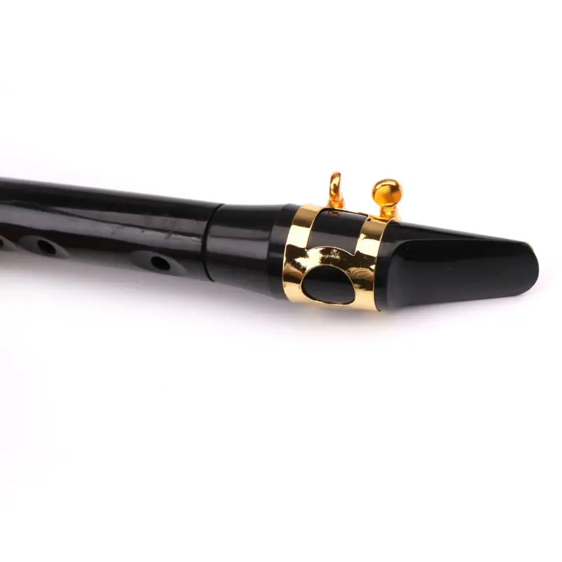

New 9 Holes Pocket Saxophone Mini Sax Mouthpiece Cap Clip with Carrying Bag for Beginner