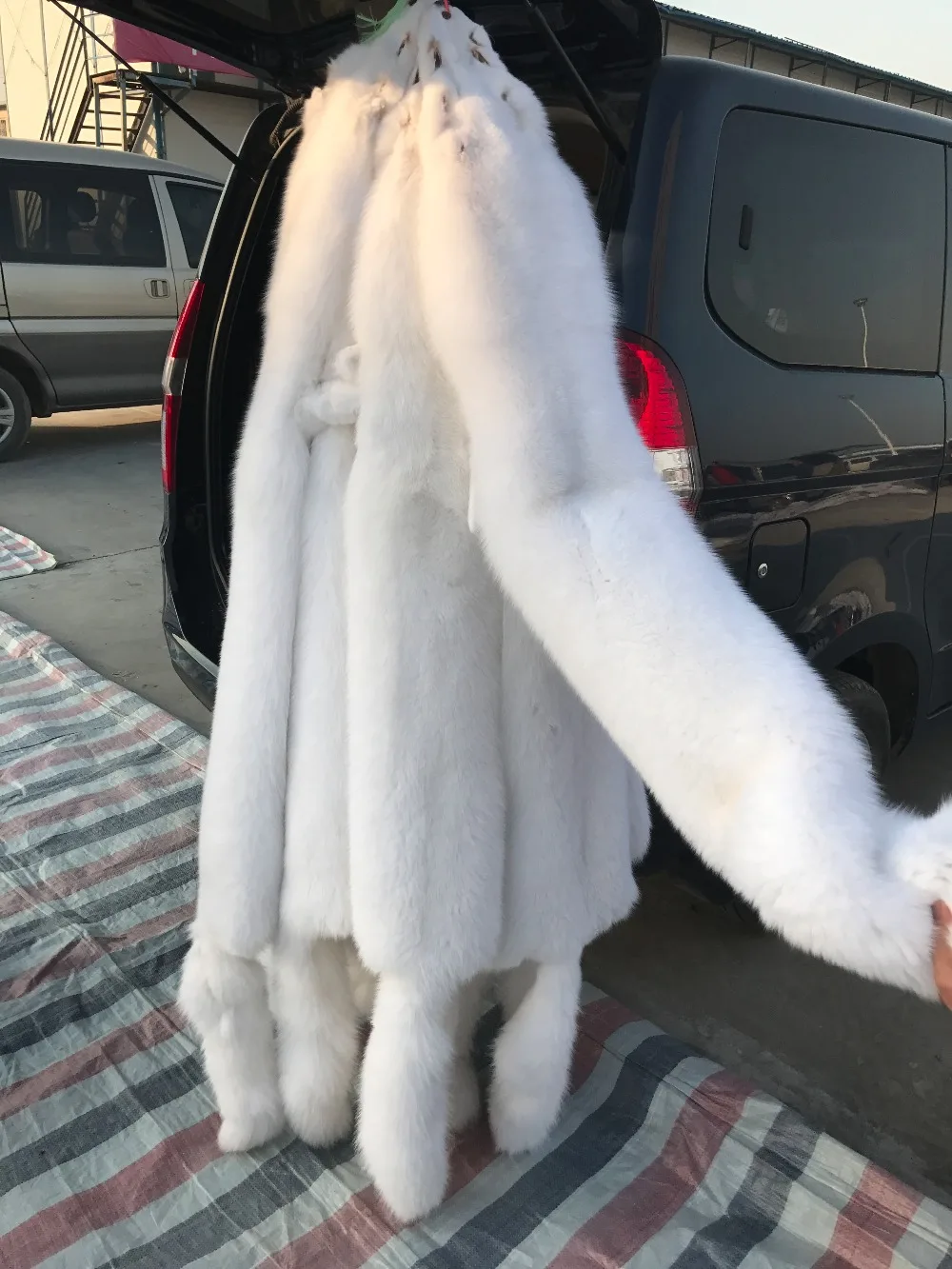 white fox skin (3)