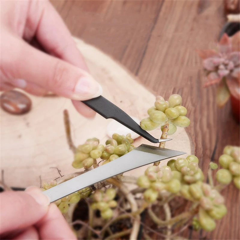 2pcs-set-Bonsai-tools-stainless-steel-succulent-plants-Pruning-knife-Cuttings-transplant-Pruning-tools