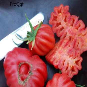 

80000Pcs A Set Zapotec Ruffled Tomato