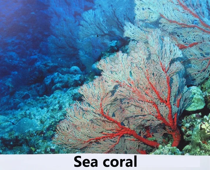 Горячая ювелирных изделий Природный морской коралл браслет DIY ручной цепи оптом