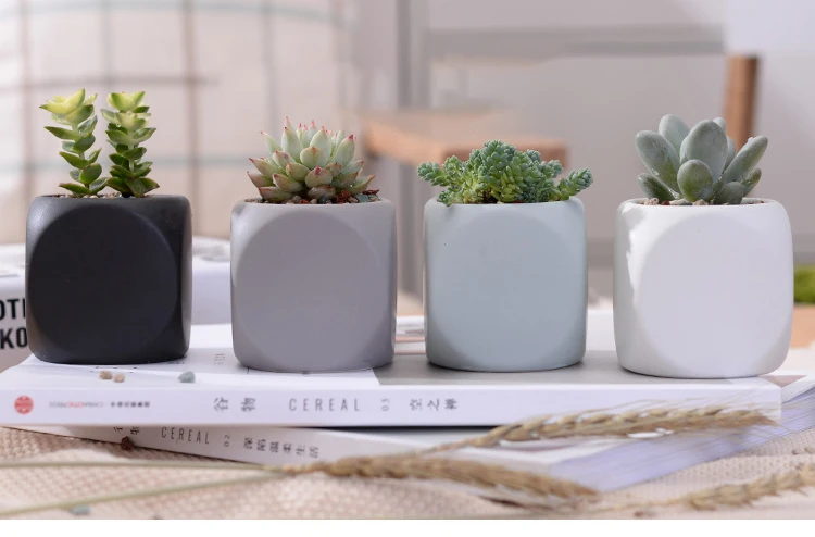 4062639533_675057837