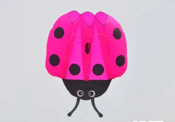 

ladybird 3d beach soft cometas chinas cerf volant single line kites flying vlieger large inflatable kites ripstop nylon aquiloni