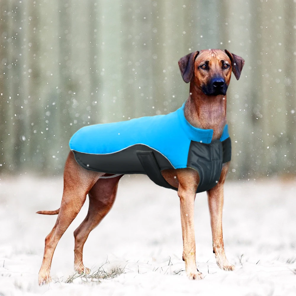 Водонепроницаемая одежда для домашних животных, куртка, теплая одежда для собак, светоотражающая Одежда для маленьких, средних и больших собак, зимнее пальто для собак, одежда для французского бульдога - Цвет: Синий