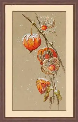 cs913        138X281X41