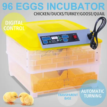 

EGG INCUBATOR 96 EGGS DIGITAL TRANSPARENT SENSITIVE CLIMATE BE HIGHLY PRAISED