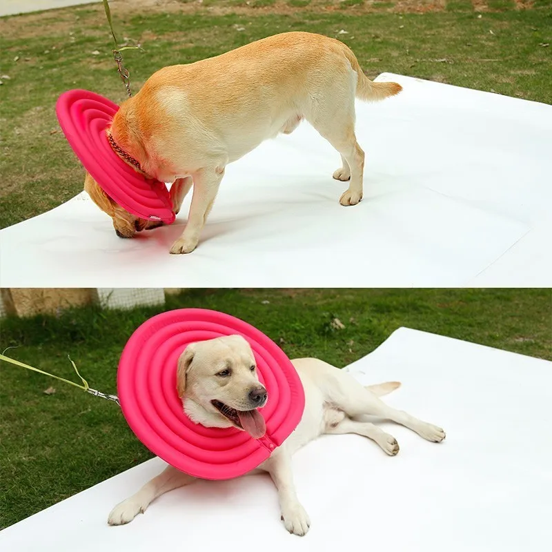 service dog y front harness
