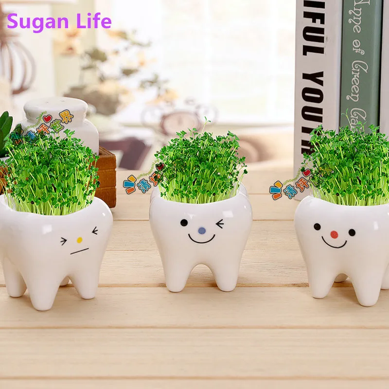 

Cute tooth pot vase creative ceramic cartoon tooth flower pot succulent flower pot home decoration crafts dental clinic gift toy