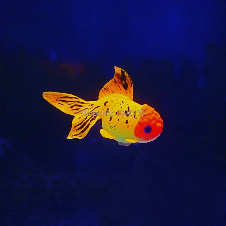 Аквариумные украшения, светящиеся в темноте, силиконовые искусственные золотые рыбки, реалистичные, разные цвета, аксессуары для аквариума