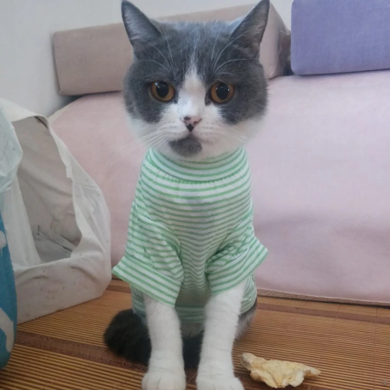 Хлопок кошка жилет с рисунком кота Одежда для кошек одежда любимцы котята
