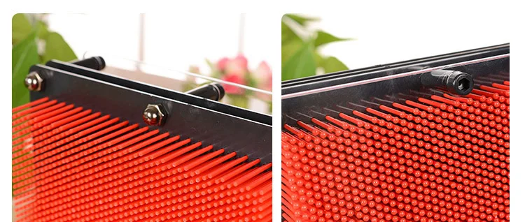 4201247657_965425705