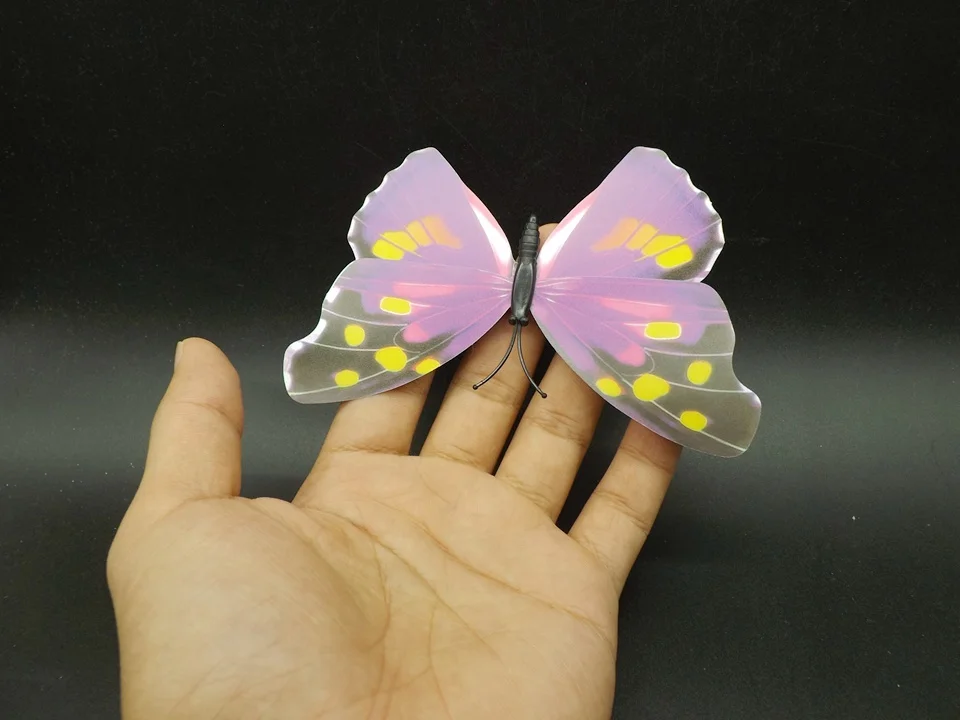 I241-Butterfly (3)
